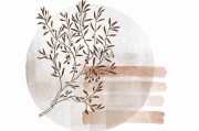 【网感视角】每日大赛今日热门片段BGM出处整理，画风突变