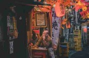 粉丝必藏：糖心vlog在线教学未来蓝图未来蓝图